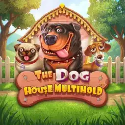 The Dog House Multihold game at LottoGo Casino for United Kingdom players